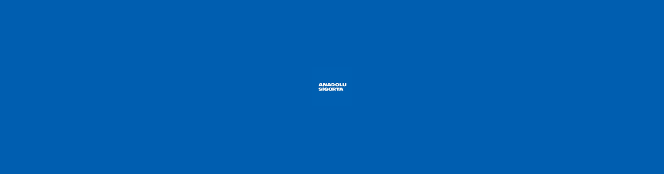 Anadolu Sigorta kapak görseli