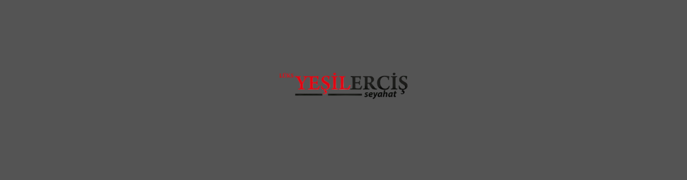 Yeşil Ercis Seyehat kapak görseli